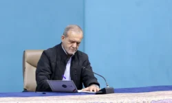 عارف: پزشکیان ۱۰ بار دستور افزایش کالابرگ را داد