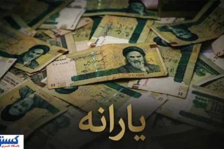 پیشنهاد تازه برای اصلاح یارانه‌ها / پرداخت برابر به هر ۱۰ دهک در گام اول
